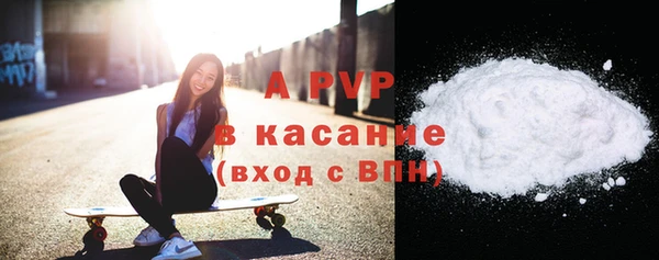 стаф Арсеньев