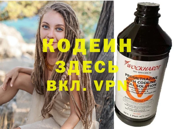 стаф Арсеньев