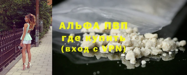 стаф Арсеньев