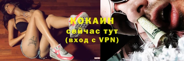 стаф Арсеньев