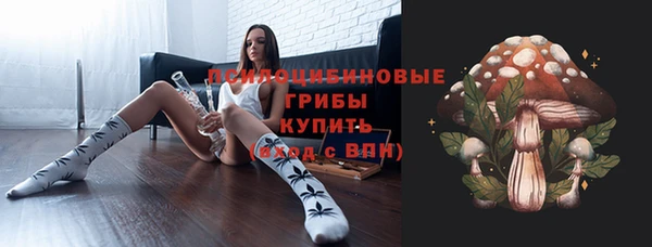 стаф Арсеньев