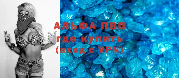 стаф Арсеньев