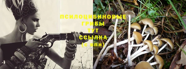 прущий лед Армянск