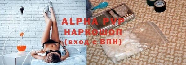 стаф Арсеньев