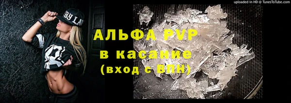 стаф Арсеньев